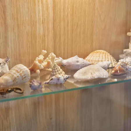 Latanadifedro - Monolocale Tra Centro Storico E Mare Apartman